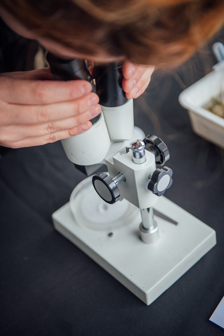 Person looking through microscope