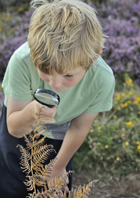 Boy searching for bugs using magnifying glass