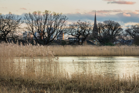 Wooberry Wetlands