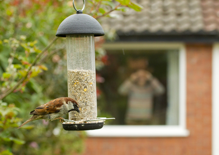 man watching a bird from his window