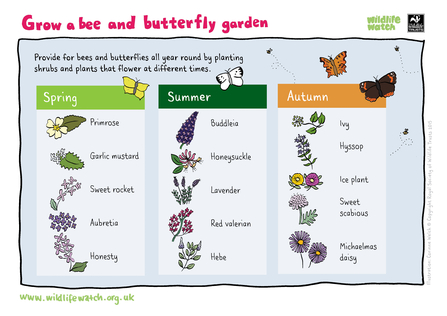 Gardening for pollinators