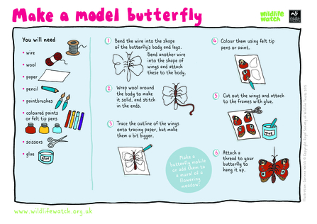 Make a model butterfly
