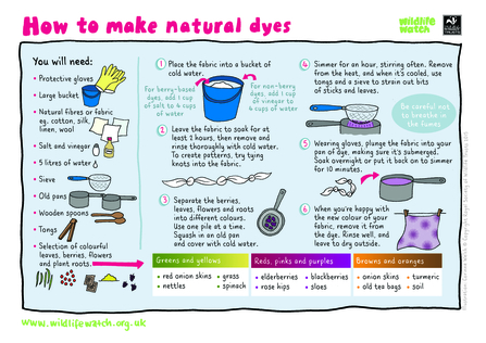 Natural dyes instructions