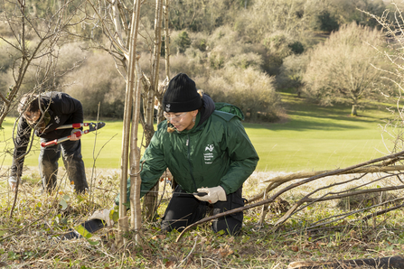 Hedgelaying workshop 