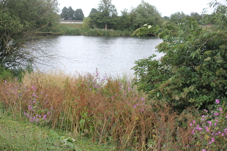 view of reservoir