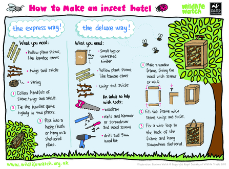 Make an insect hotel