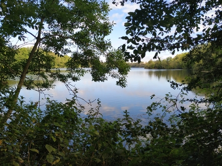 Former quarry, now lake at Denham Lock Woods in Uxbridge