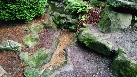 Rock Garden at Coombe Wood Gardens