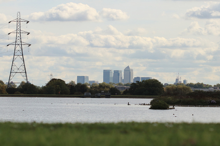 Walthamstow Wetlands City View