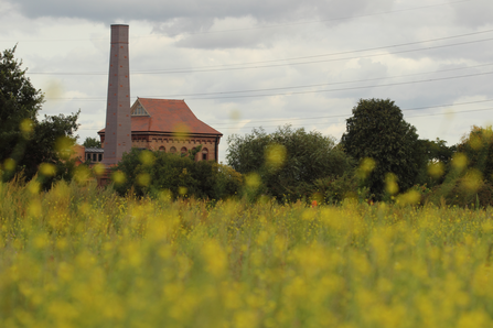 Walthamstow Wetlands Engine House view