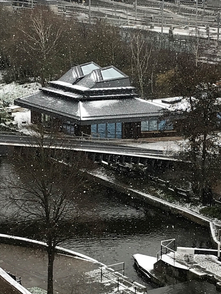 A view of Camley Street visitor centre in the snow