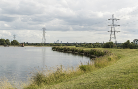 Lockwood reservoir Walthamstow wetlands