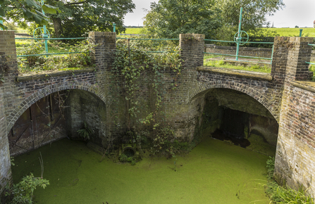 Roundhouse at Walthamstow Wetlands