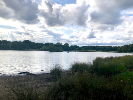 Pen Pond, Richmond Park