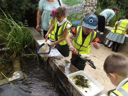 Willowbrook Primary School at Woodberry Wetlands