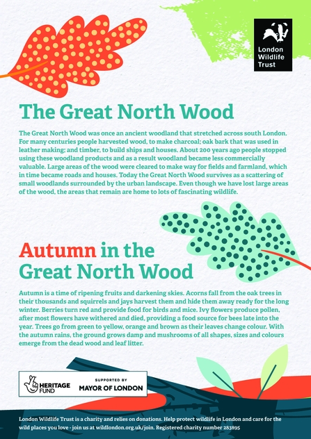 GNW Autumn Spotter Sheet 2