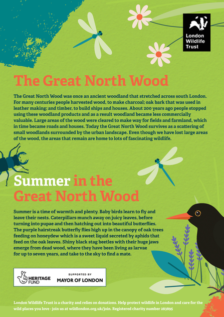 GNW Summer Spotter Sheet 