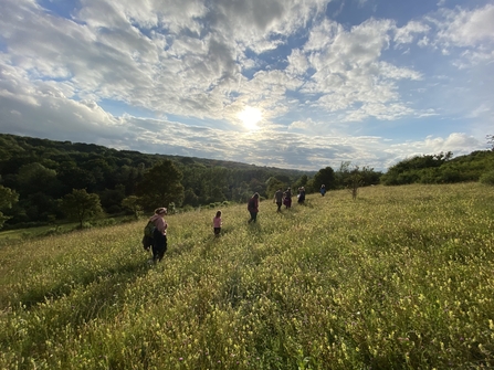 Walking group on Hutchinson's Bank