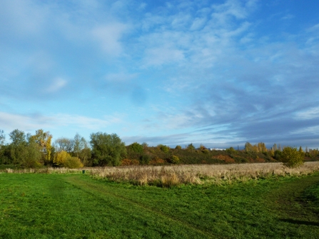 A wide landscape view of Wormwood Scrubs and bank