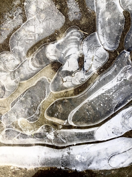 Ice patterns