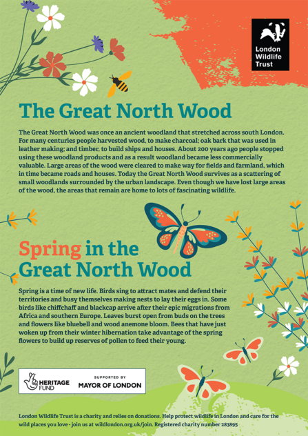 Image of Side 2 of the Great North Wood Spring Spotter Sheet