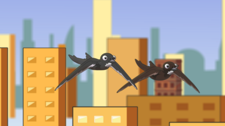 a still from Birdrun's animation of travelling swifts, showing two swifts flying side by side