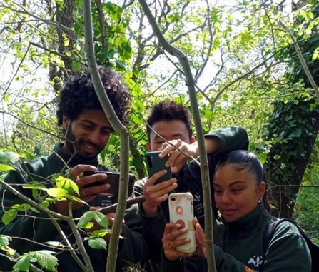 3 young trainees taking photos of the nature on site