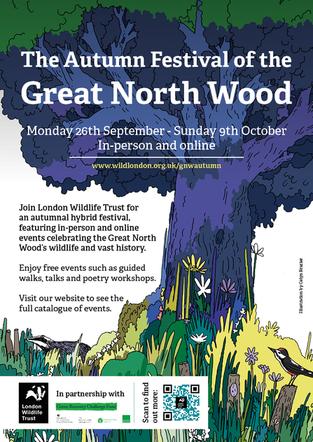 Illustration of a tree, with information about the Great North Wood Festival on top