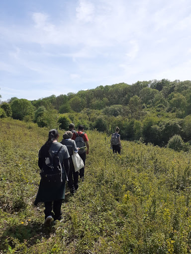 A group of young adults walking through a wild flower meadow.