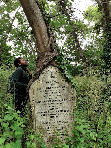 A Young Adult looking up at a tree wrapped around an old gravestone.