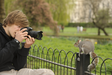 A young photographer taking a picture of a grey squirrel on a fence in Regent's Park