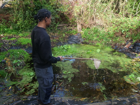A young adult helping to clear a local pond.