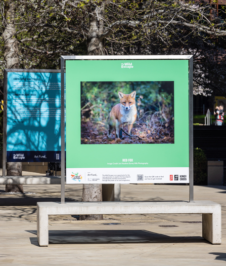 A billboard with a fox on above a bench