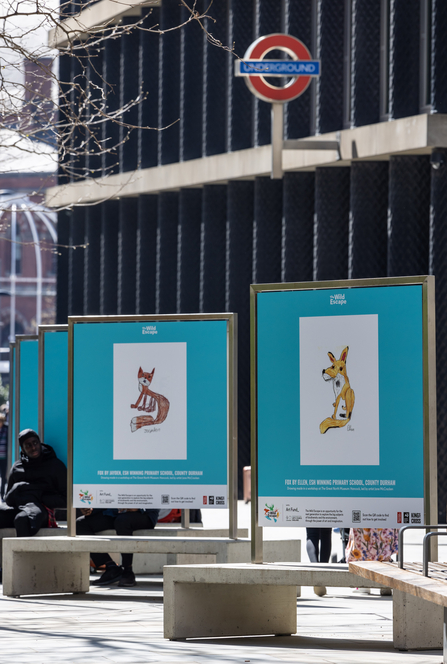 Two billboards with a blue background and a childs drawing of a fox on both 