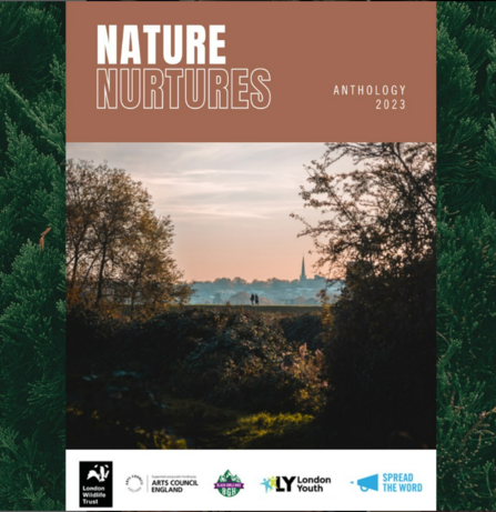 The book cover of the Nature Nurtures Anthology, on a brown background text reads 'Nature Nurtures Anthology 2023' below is an image of Walthamstow wetlands at sunset, featuring trees, a hill with people walking across, the city landscape in the background and an Orange sky.  below are the logo images of all the partners involved in the project.