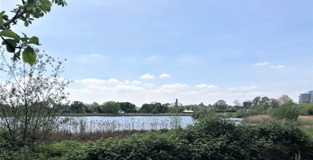 A body of water lined by vegetation