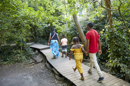 Dulwich Wood Family