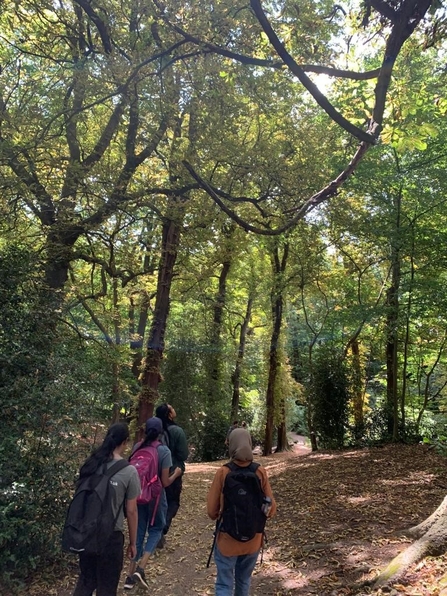A group of people walk through a wooded pathway 