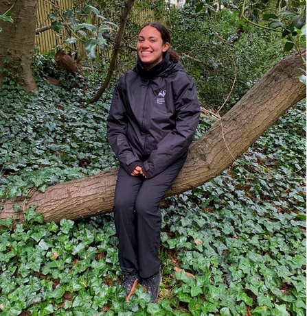 A person sat on the trunk of a tree surrounded by ivy that carpets the ground