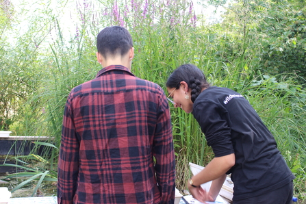 Two people crouched over looking looking into a pond with vegetation in the background