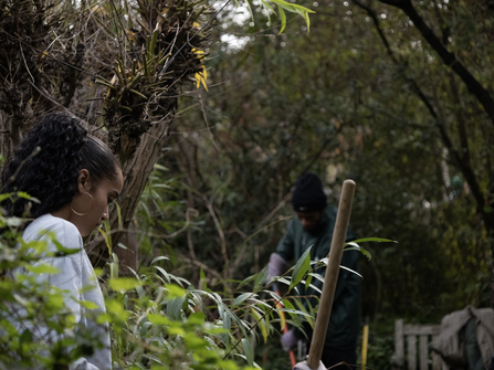 Two young people in a woodland doing some conservation work