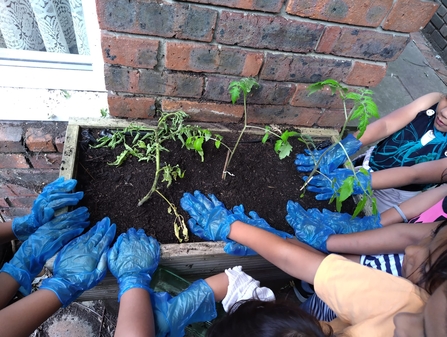 A group of children experiencing growing in a planter.