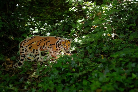 a drawing of an ocelot amongst vegetation