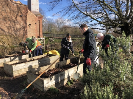 Volunteers tending to raised beds