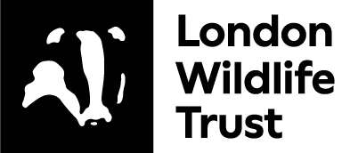 NEW LWT logo small