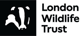 Logo email signature