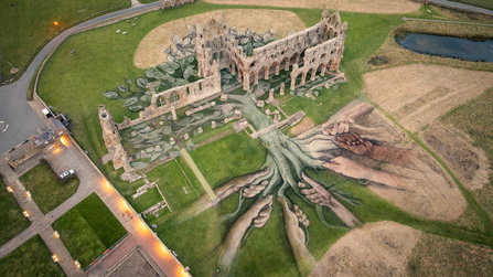 Aerial image of national lottery game changers installation - artwork of vines in abbey grounds