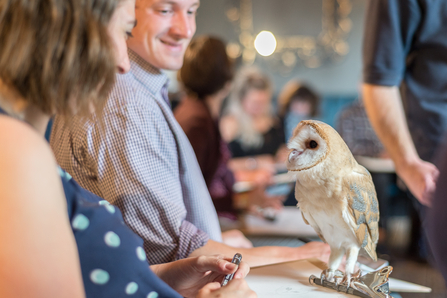 a wildlife drawing class with someone looking at an owl