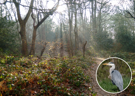 bramley bank with an image of a heron in a circle