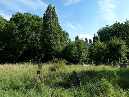 Brockley Cemetery 